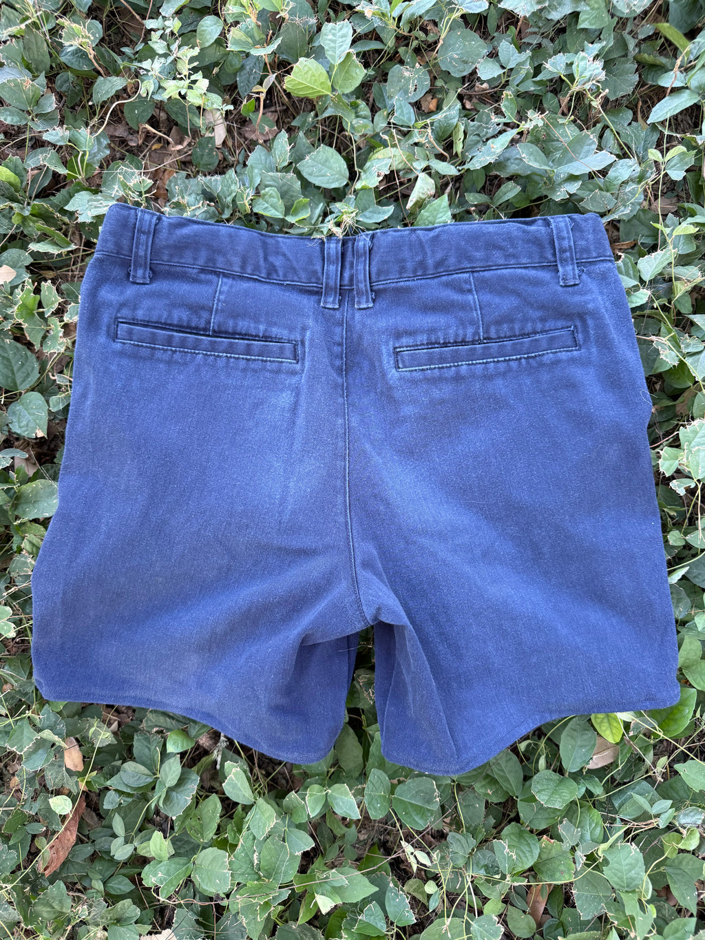 Horse girl shorts