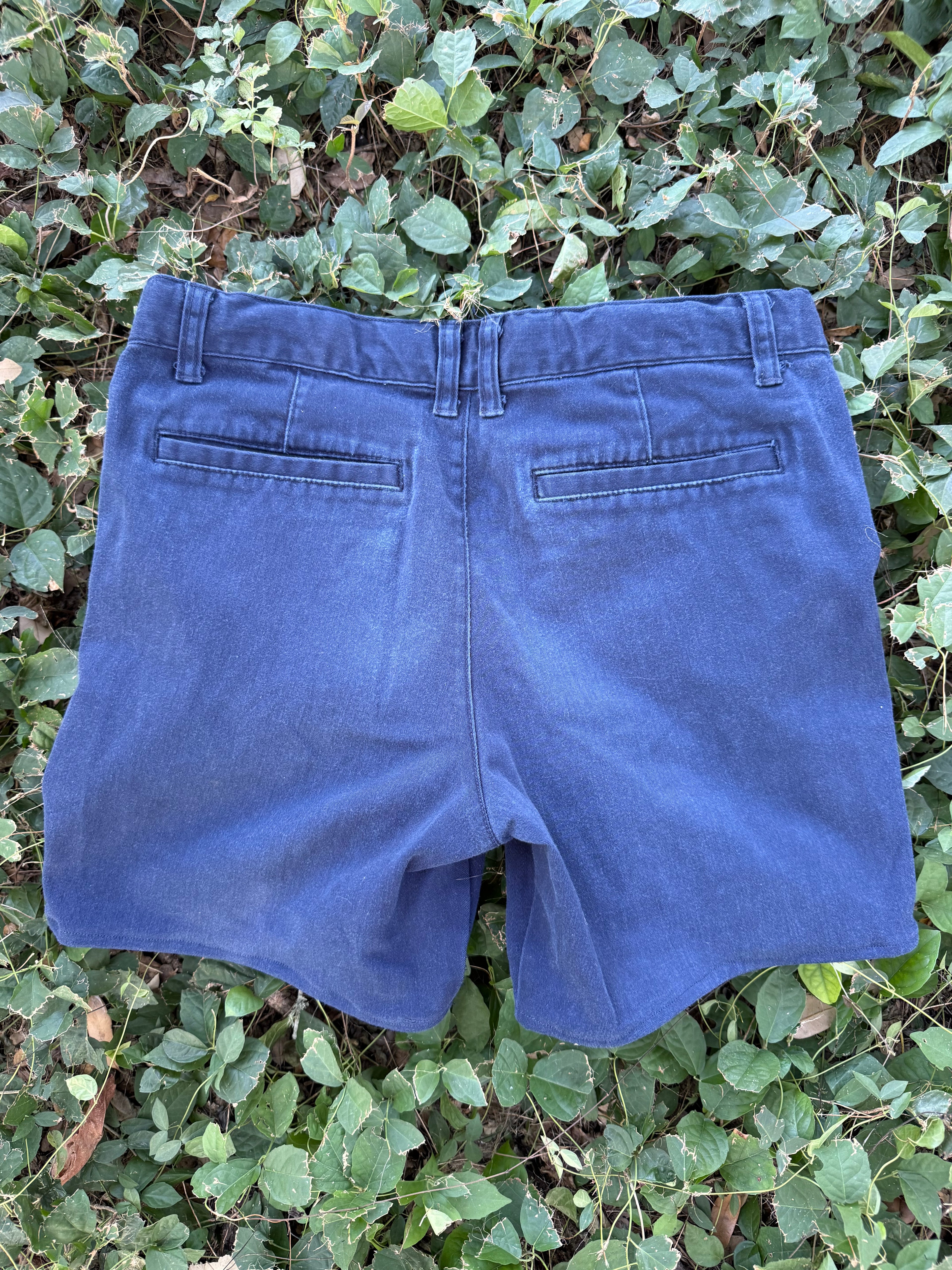 Horse girl shorts